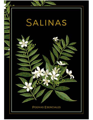 Poesía 11 - Salinas Poesía 11 - Salinas