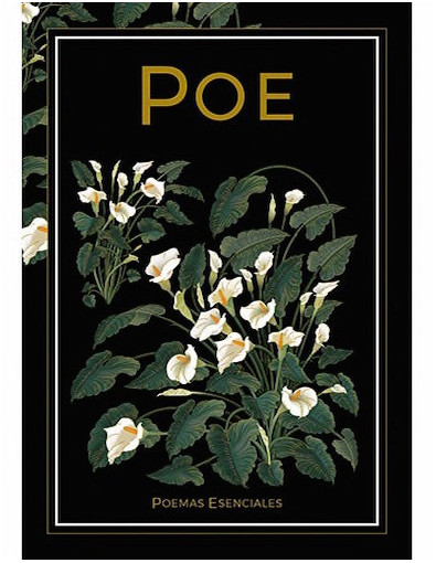Poesía 41 - Edgar Allan Poe Poesía 41 - Edgar Allan Poe