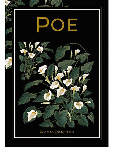 Poesía 41 - Edgar Allan Poe