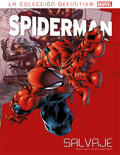 Spiderman 11 Spiderman 11
