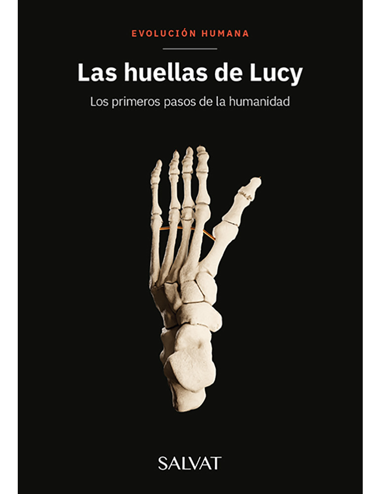 Las huellas de Lucy