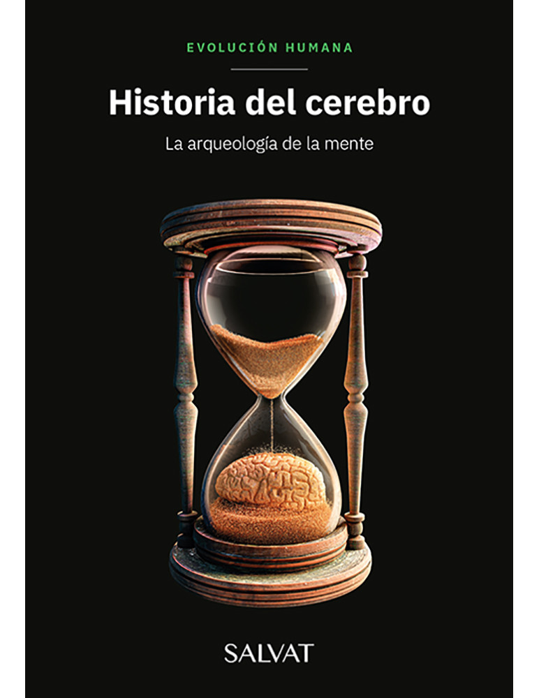 Historia del cerebro