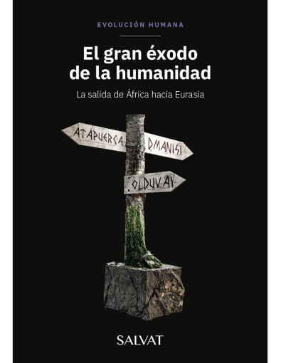 Evolución Humana 12 Evolución Humana 12