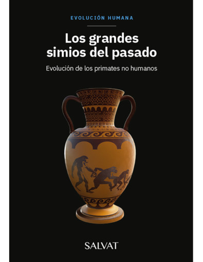 Evolución Humana 46