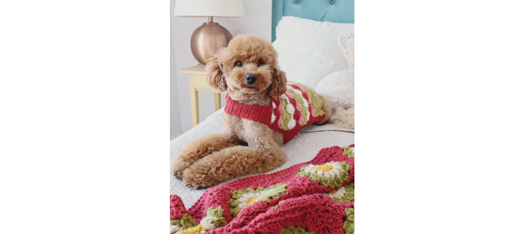 Crochet creativo. Diseñada por Susimiu. Nº 48