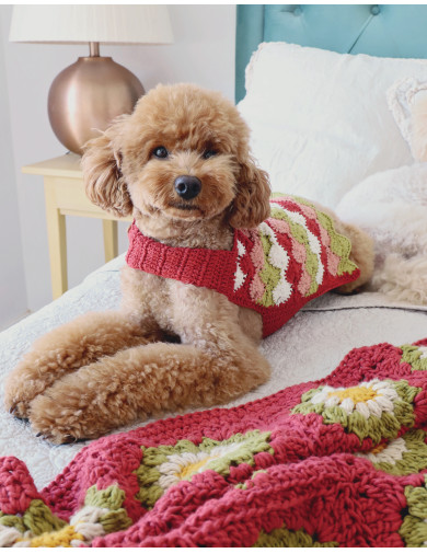 Crochet creativo. Diseñada por Susimiu. Nº 48 Crochet creativo. Diseñada por Susimiu. Nº 48