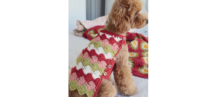 Crochet creativo. Diseñada por Susimiu. Nº 48