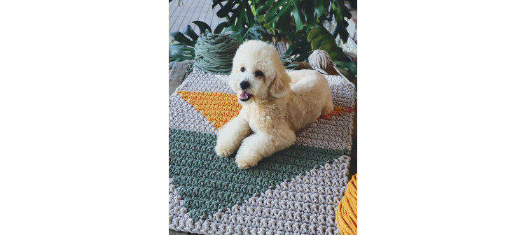 Crochet creativo. Diseñada por Susimiu.  Nº 12