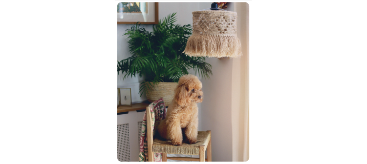 Fascículo 77 + cono de algodón color peonía