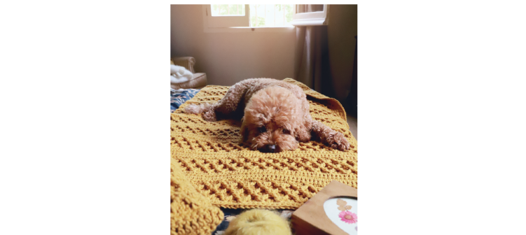 Crochet creativo. Diseñada por Susimiu. Nº 38