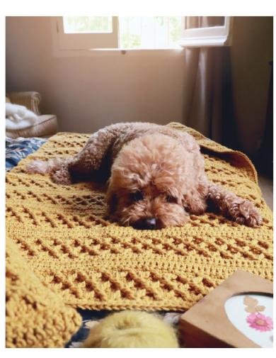 Crochet creativo. Diseñada por Susimiu. Nº 38