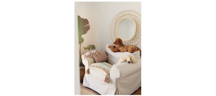 Crochet creativo. Diseñada por Susimiu. Nº 71