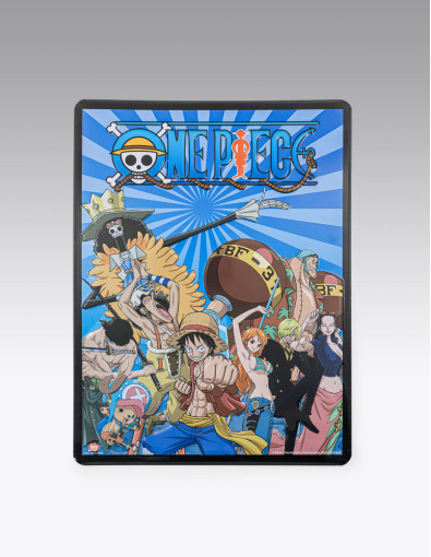 Placa Metal One Piece