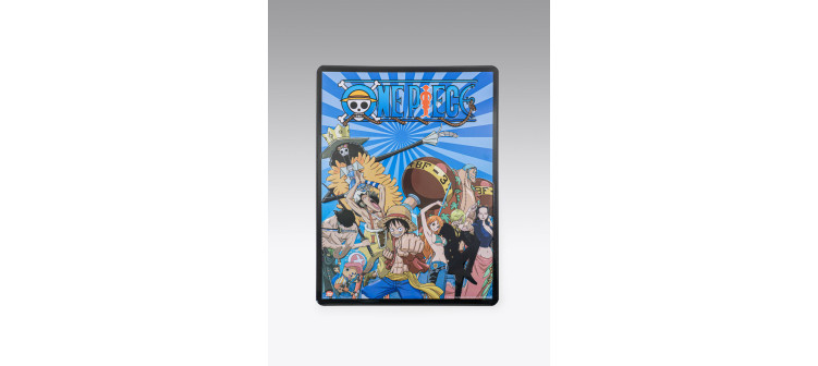 Placa Metal One Piece