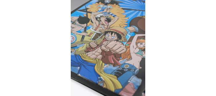 Placa Metal One Piece