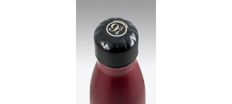 Botella Térmica Plataforma 9 3/4 Harry Potter