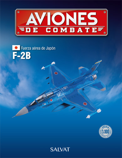 Aviones de combate Nº 11