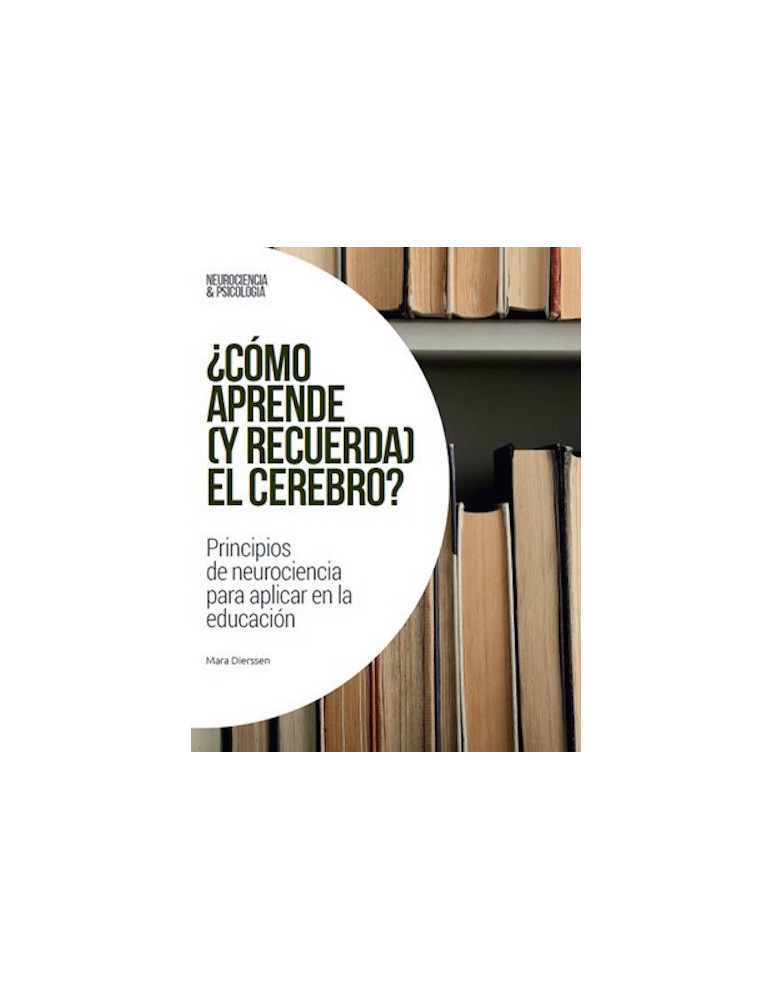 ¿Cómo aprende (y recuerda) el cerebro?