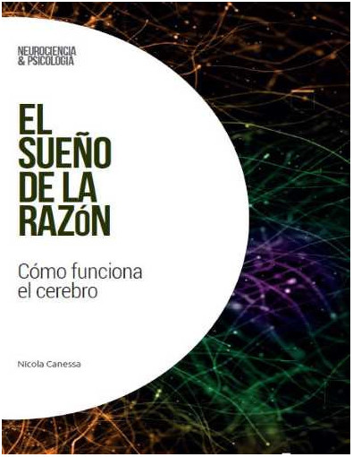 Neurociencia y psicología Nº 41 Neurociencia y psicología Nº 41
