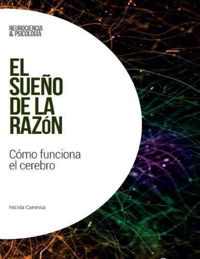 Neurociencia y psicología Nº 41