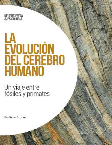 Neurociencia y psicología Nº 42 Neurociencia y psicología Nº 42