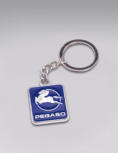 Complemento Pegaso 6
