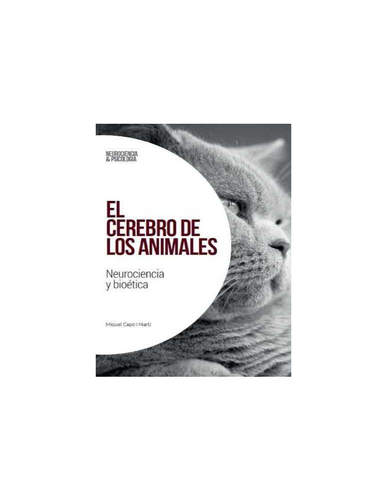 El cerebro de los animales